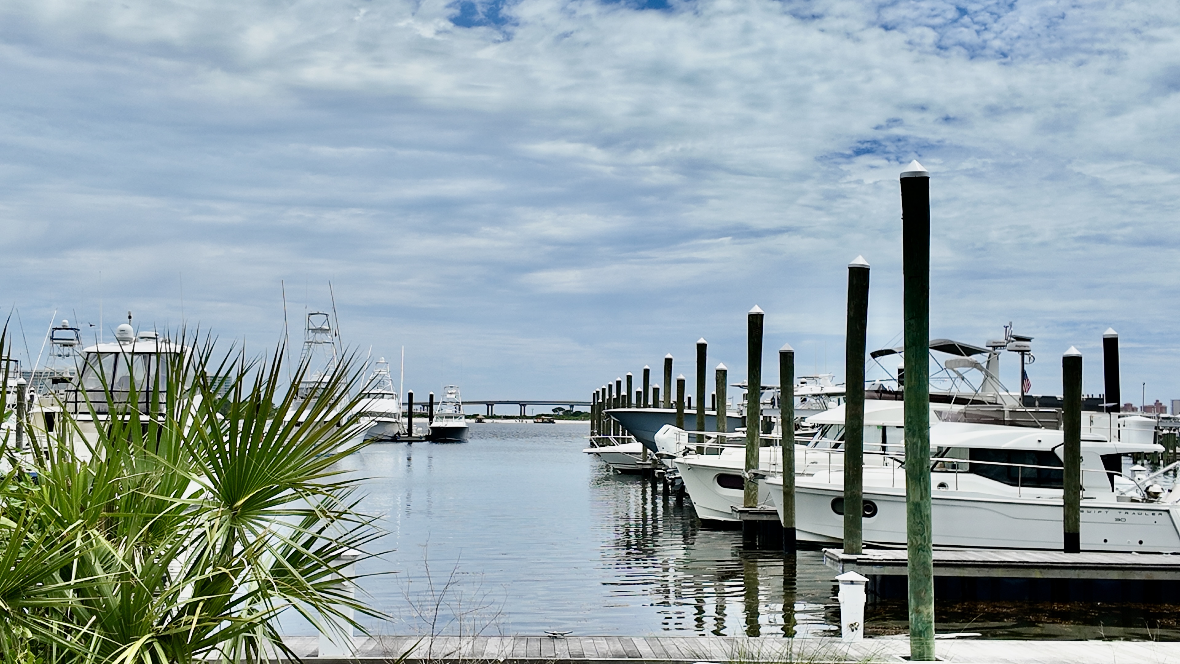 Sportsman Marina Terry Cove Perdido Pass Orange Beach Alabama Boating